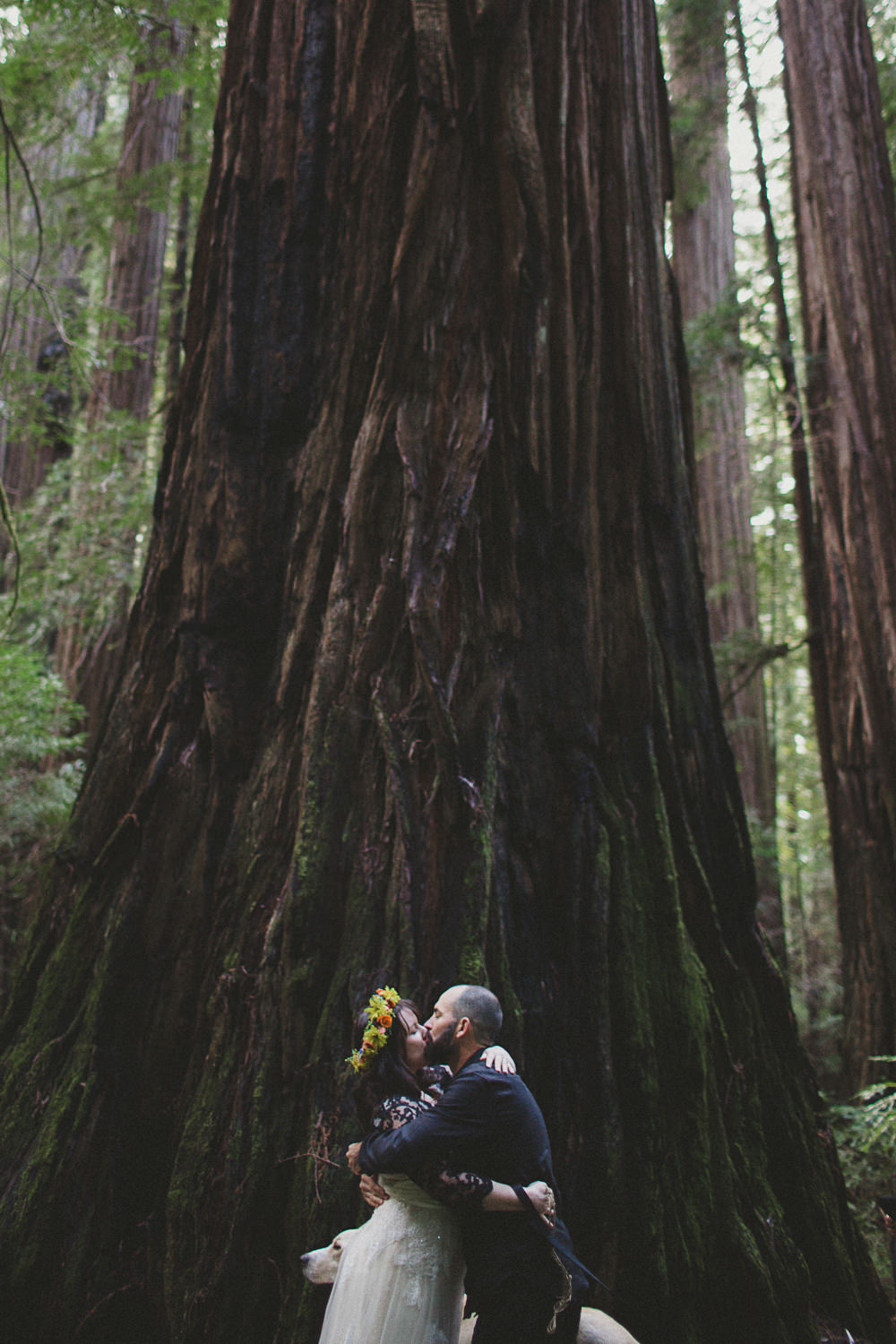 Redwoods elopement Denzil Tim-15