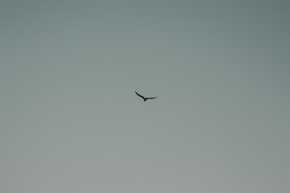 Eureka 24hr (Blog)-21