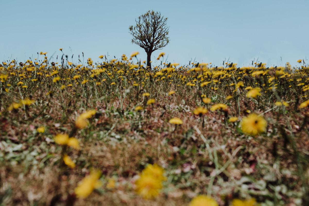 Eureka 24hr (Blog)-49