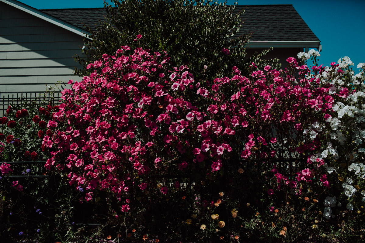 Eureka 24hr (Blog)-53