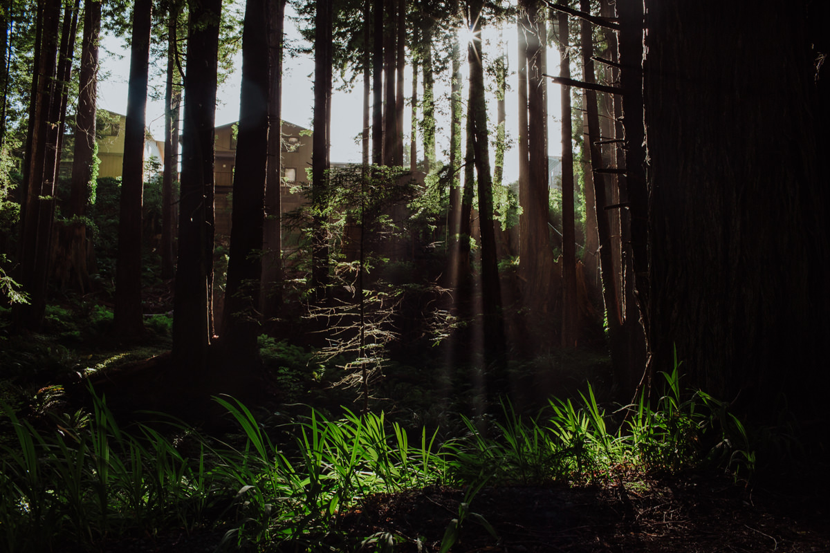 Eureka 24hr (Blog)-59