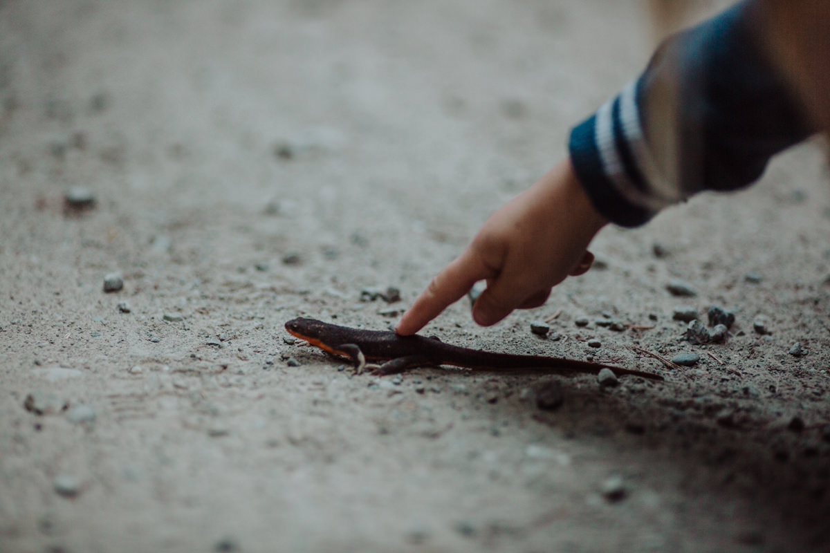 Eureka 24hr (Blog)-61