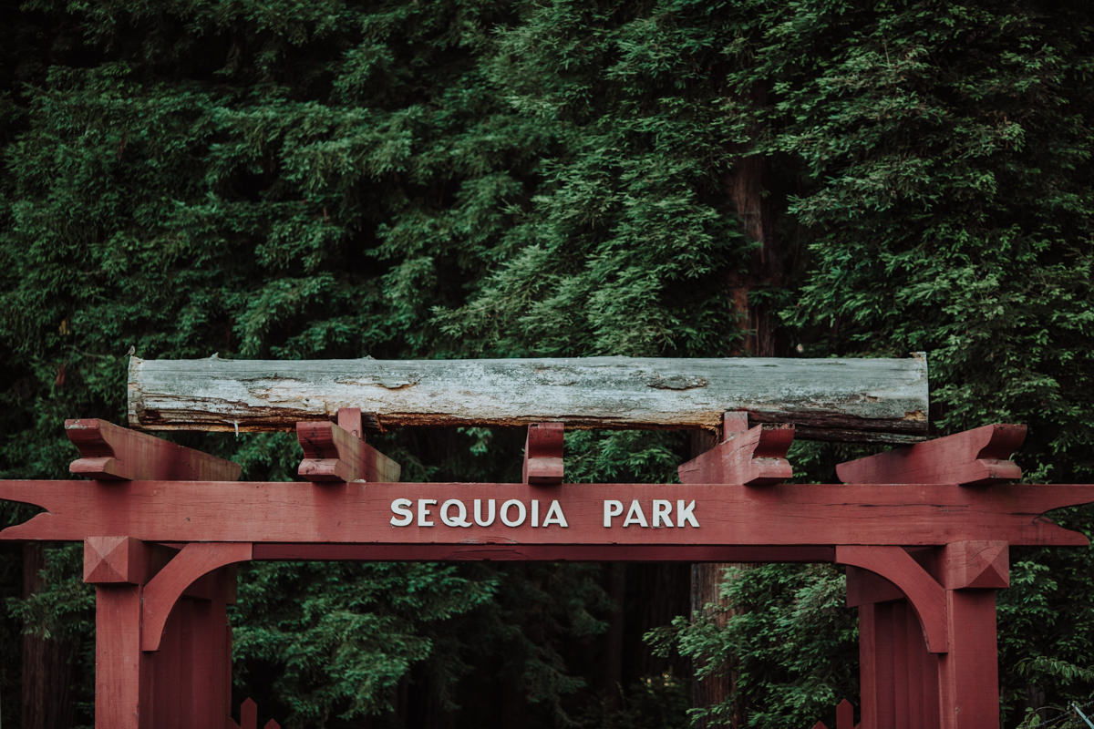 Eureka 24hr (Blog)-63