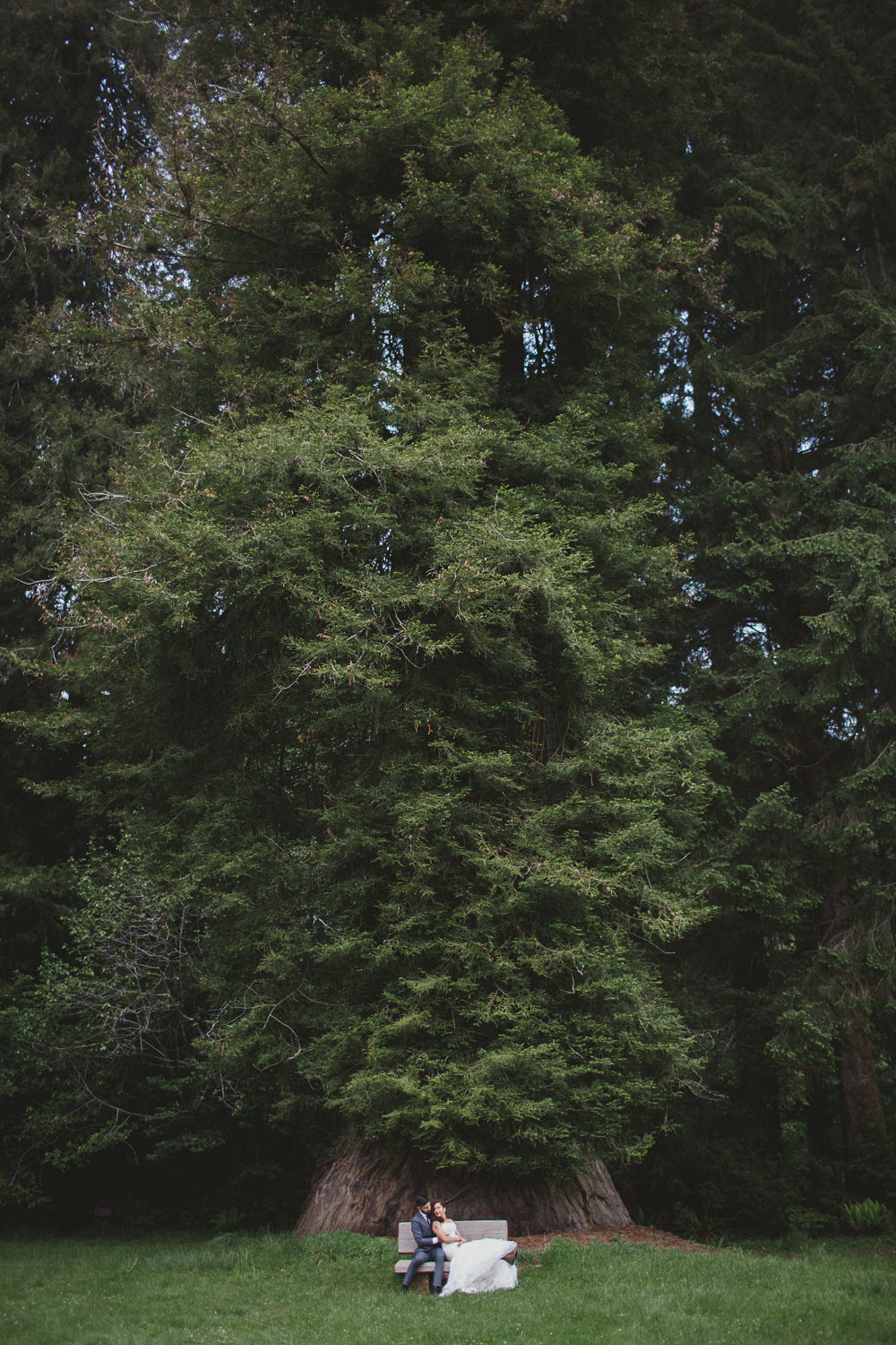 Redwoods wedding Sonia Jeffrey-11