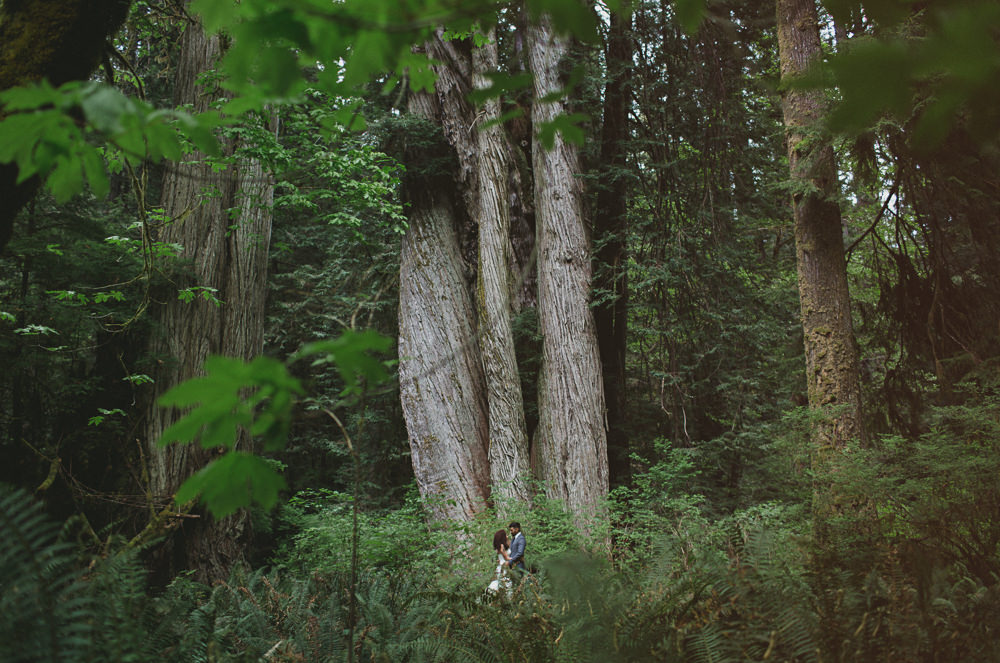 Redwoods wedding Sonia Jeffrey-5