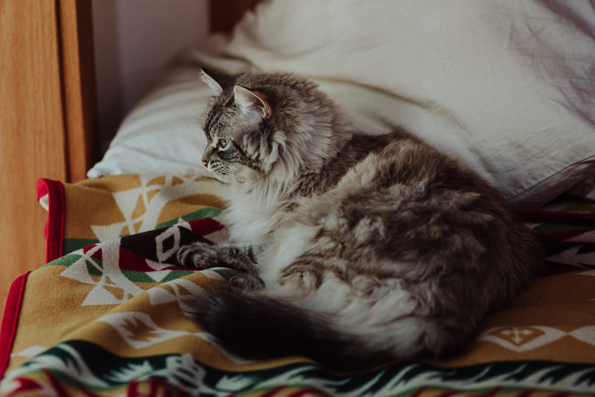 Humboldt outdoor wedding April Brian -8