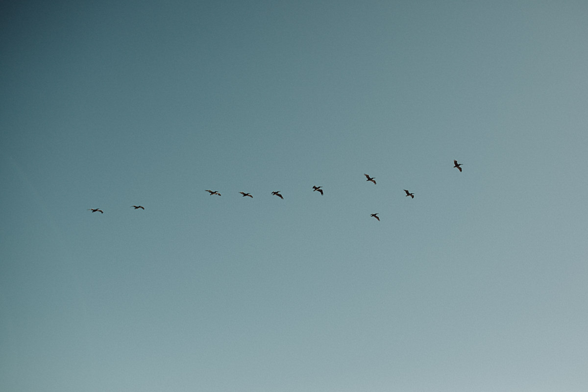 AM Destination Wedding Shelter Cove Photo-37