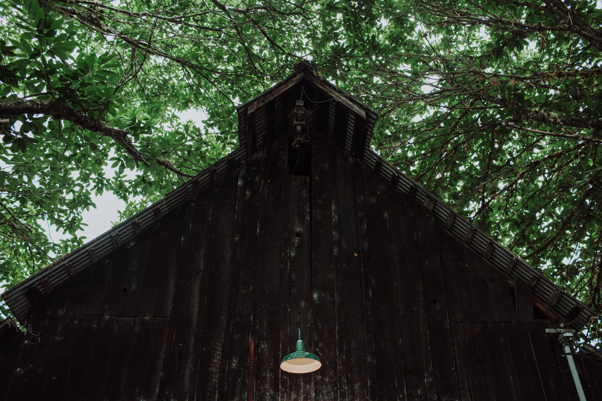 HJ humboldt willow creek wedding photographer-5