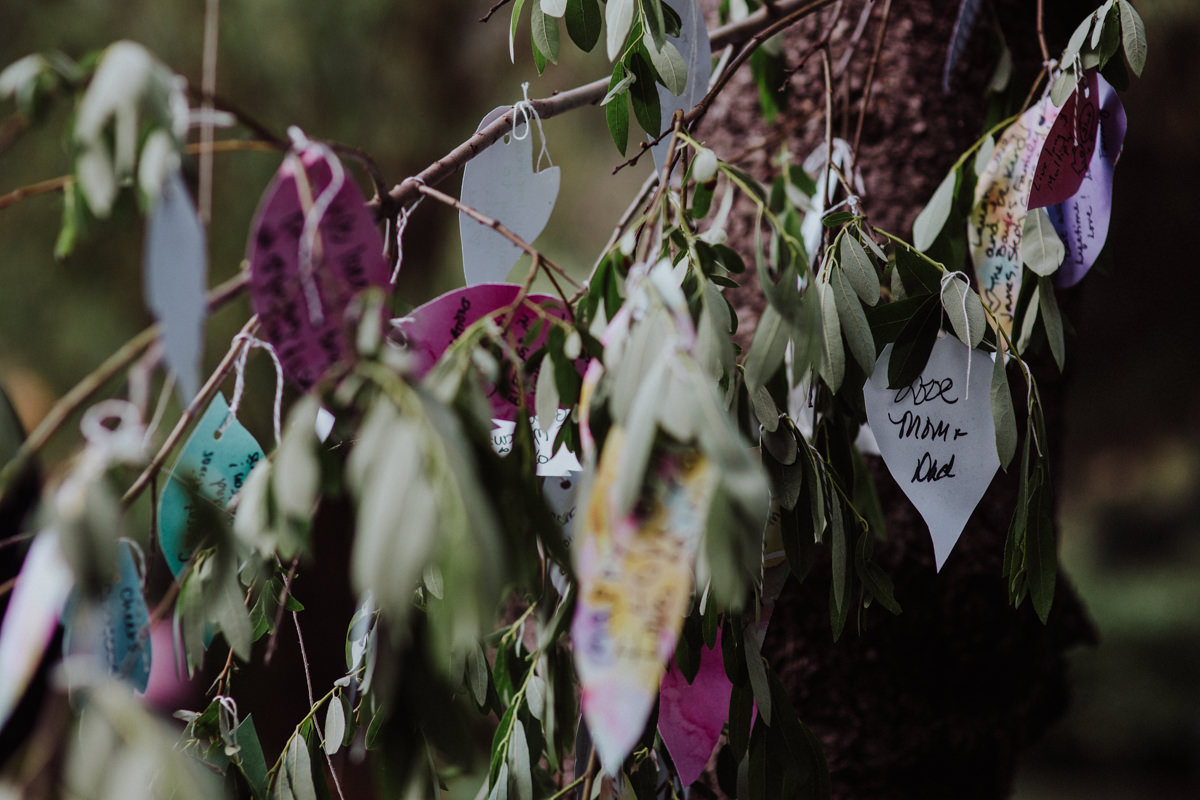 HJ humboldt willow creek wedding photographer-84