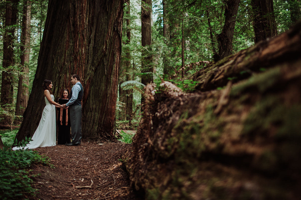 Katie Landon redwoods elopement-11