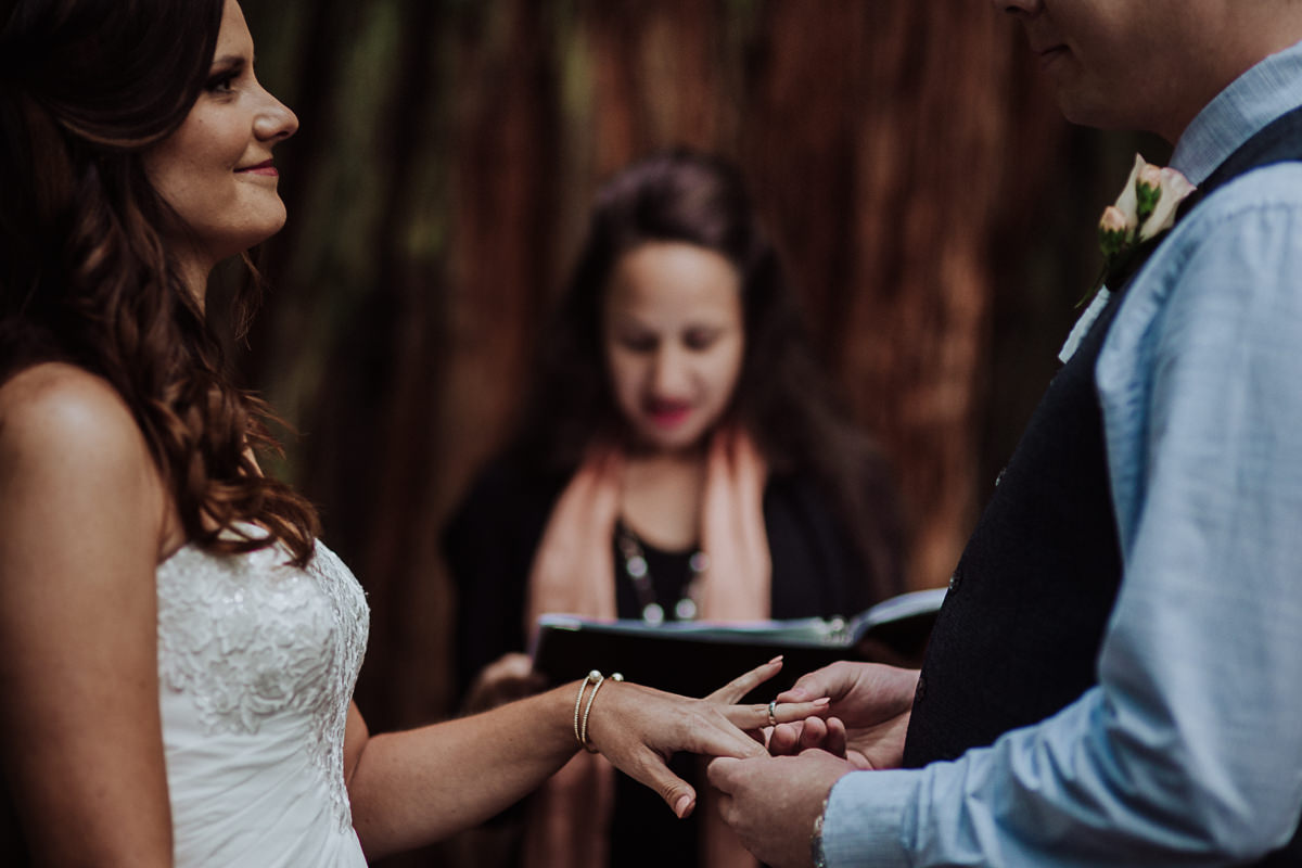 Katie Landon redwoods elopement-13