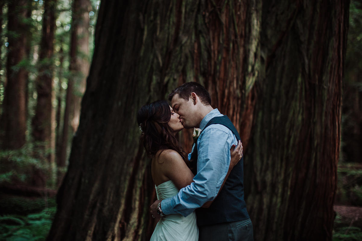 Katie Landon redwoods elopement-14