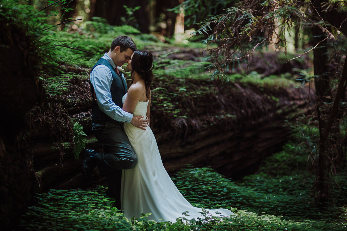 Katie Landon redwoods elopement-15