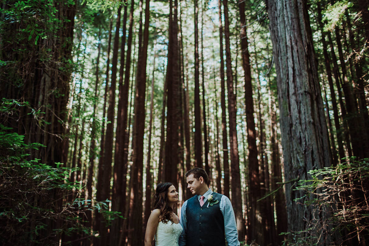 Katie Landon redwoods elopement-18