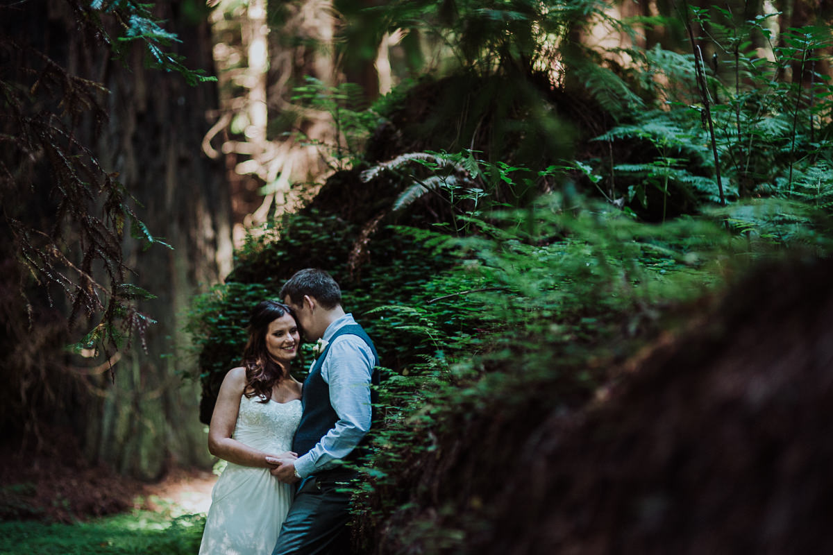 Katie Landon redwoods elopement-19