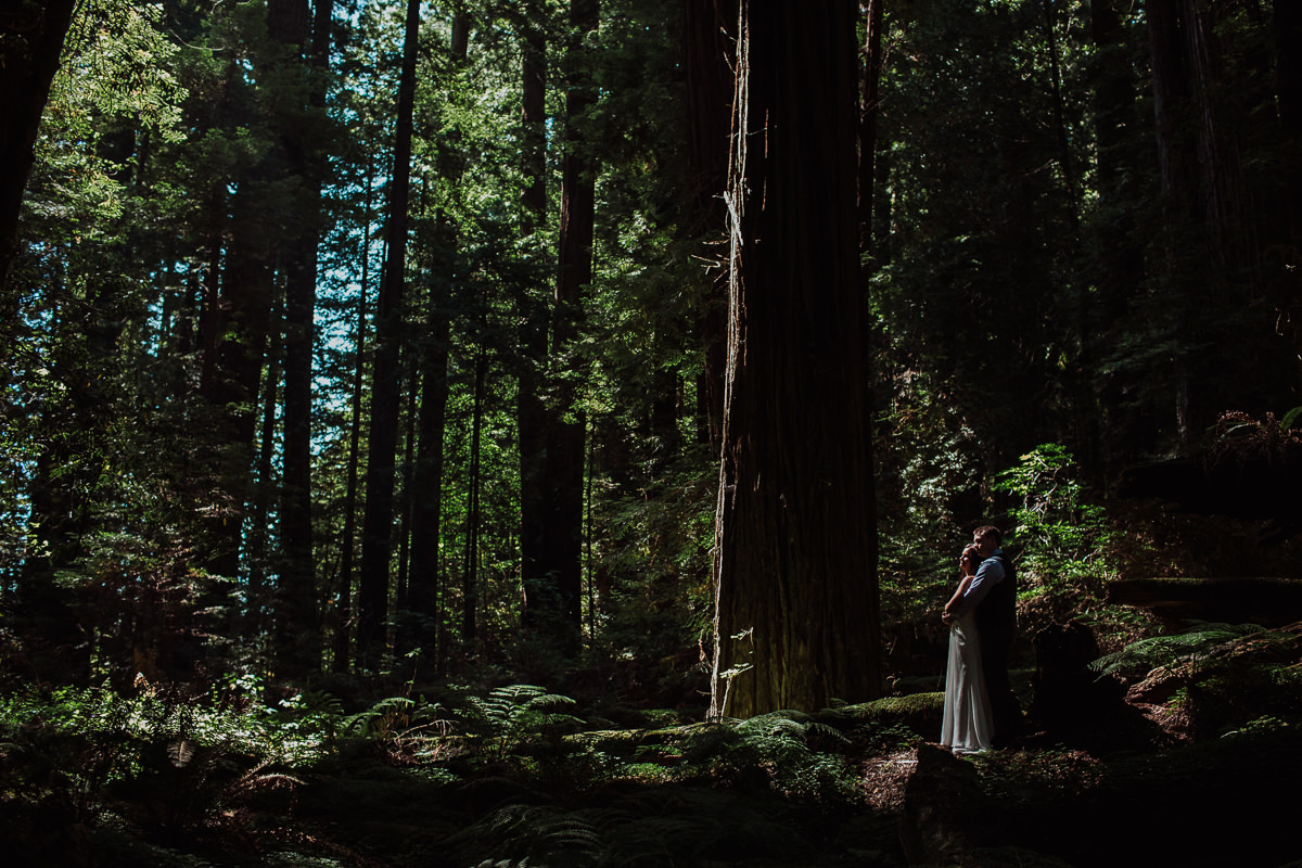 Katie Landon redwoods elopement-27