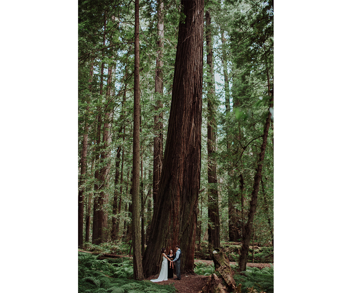 Katie Landon redwoods elopement-8