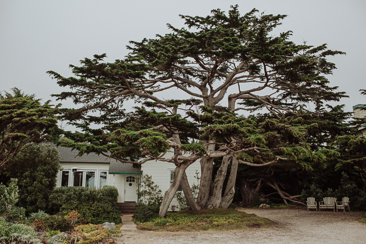 EmmaBen Wedding Photographer Halfmoon-3