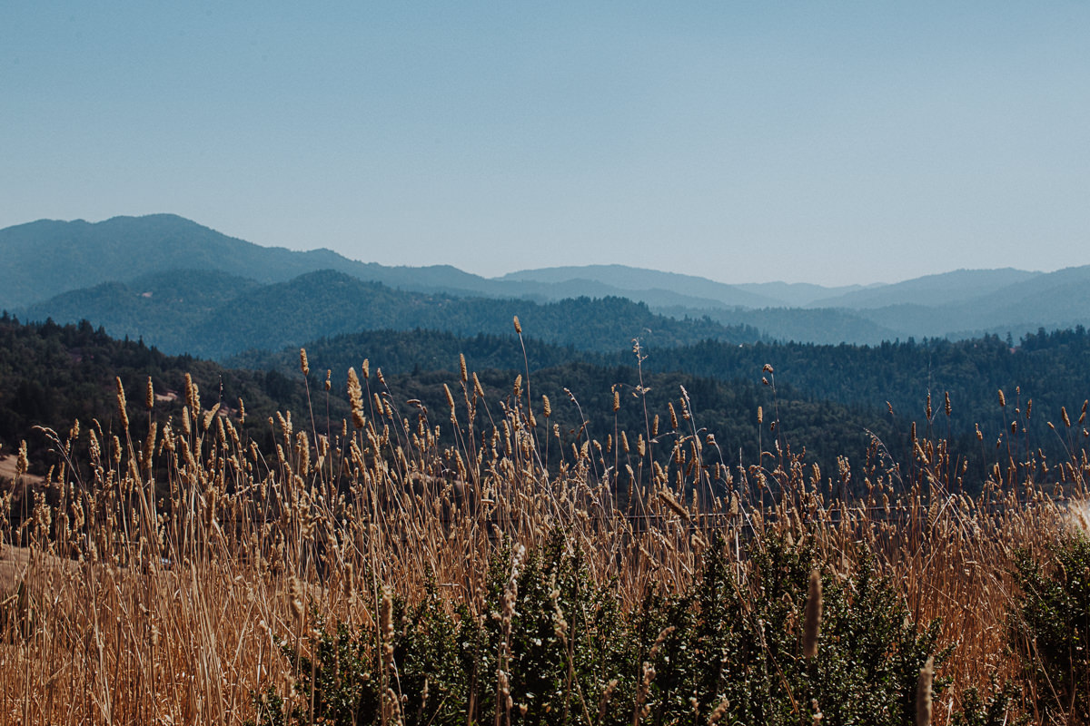 crystal-zeb-garberville-wedding-photographer-2