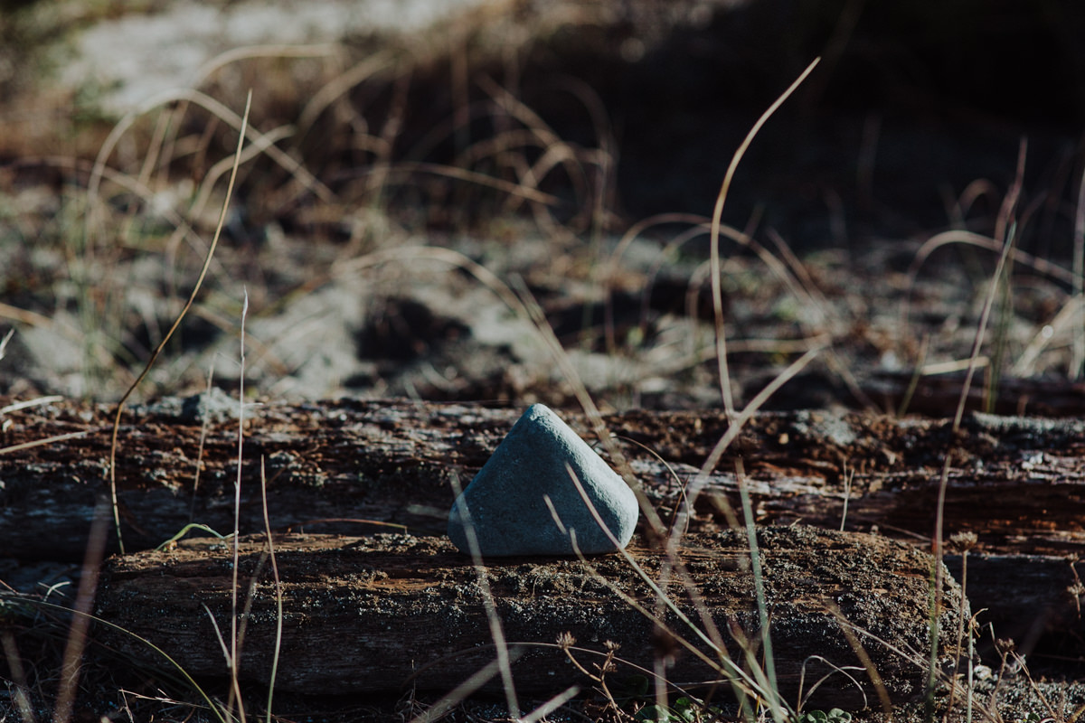 julie-ivy-humboldt-elopement-photographer-3