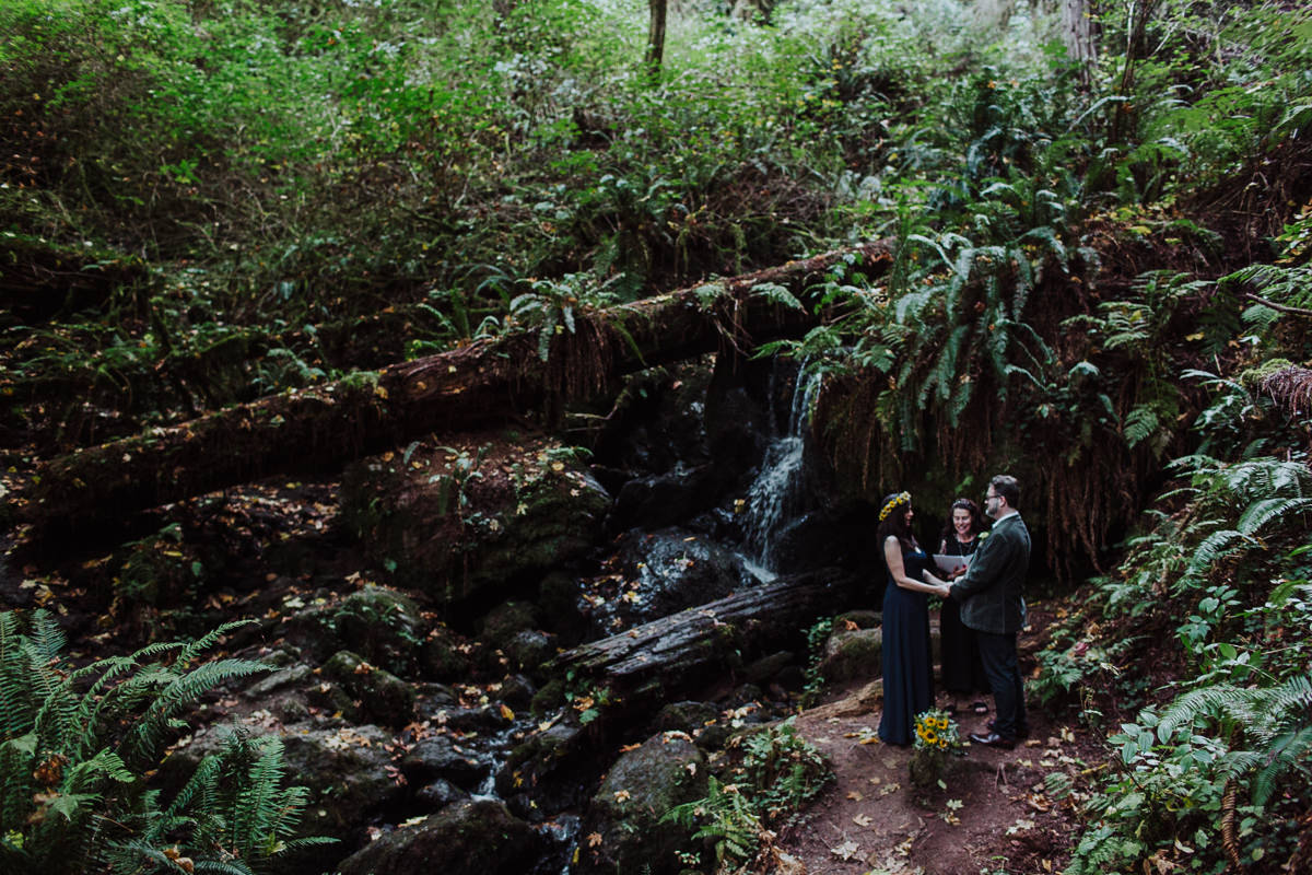 mm-elopement-wedding-redwoods-11