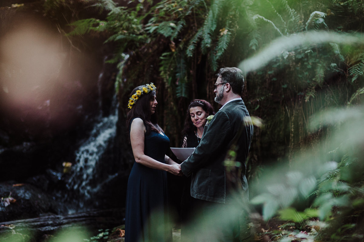 mm-elopement-wedding-redwoods-12