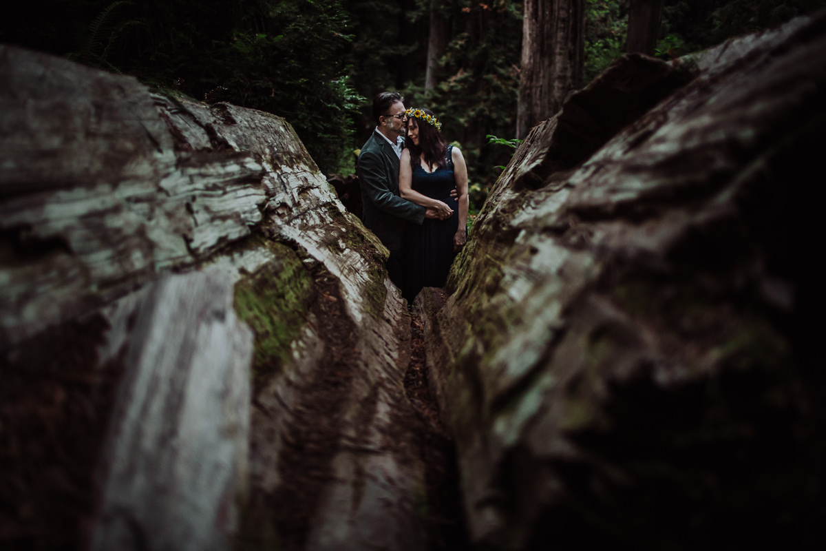 mm-elopement-wedding-redwoods-22