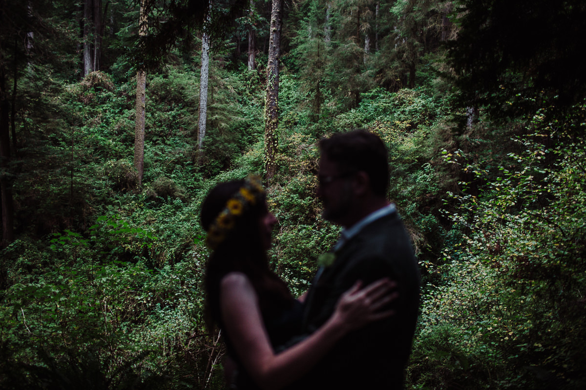 mm-elopement-wedding-redwoods-24
