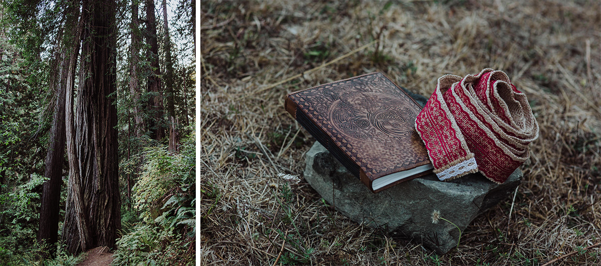 mm-elopement-wedding-redwoods-5