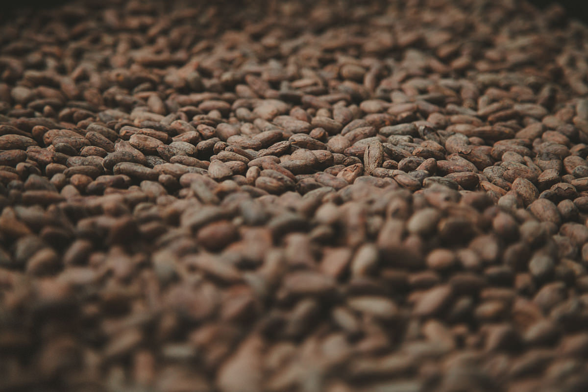 dick-taylor-chocolate-arcata-5