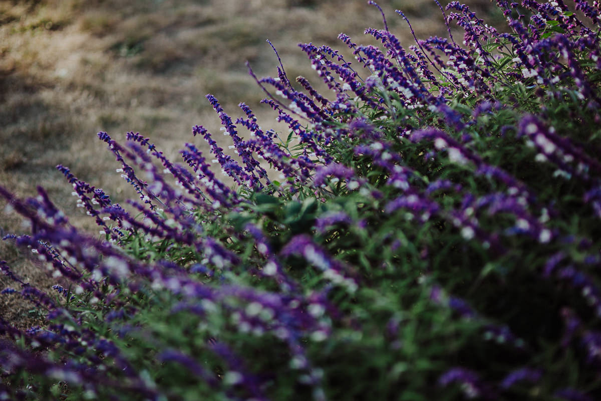 trinidad-humboldt-wedding-photographer-stacie-matthew-3