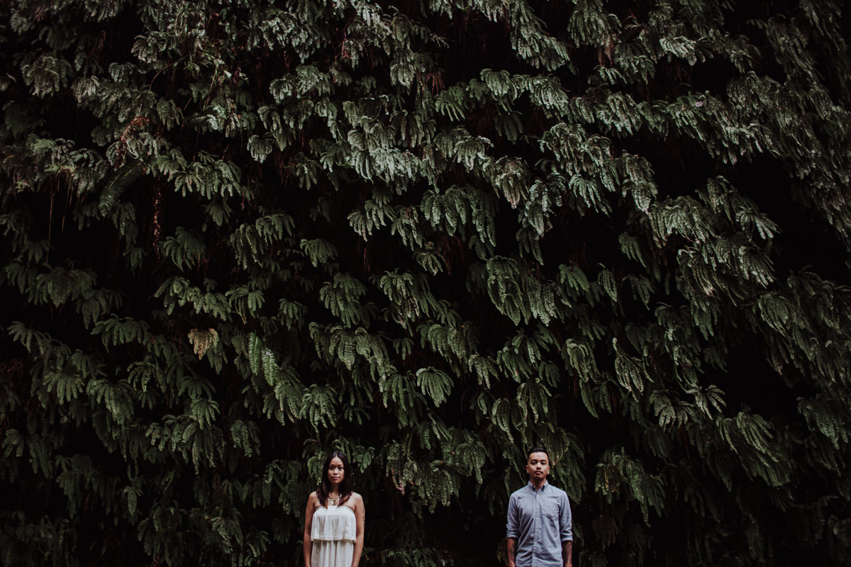 cf-engagement-fern-canyon-humboldt-16