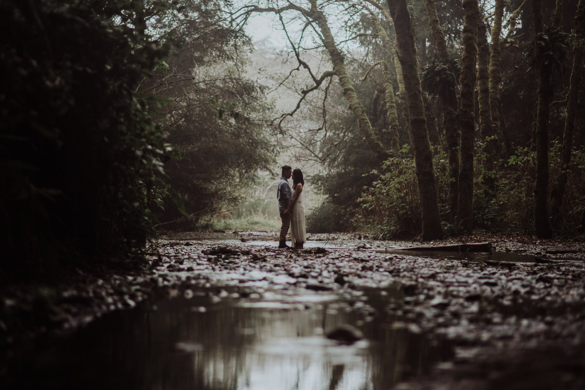 cf-engagement-fern-canyon-humboldt-29