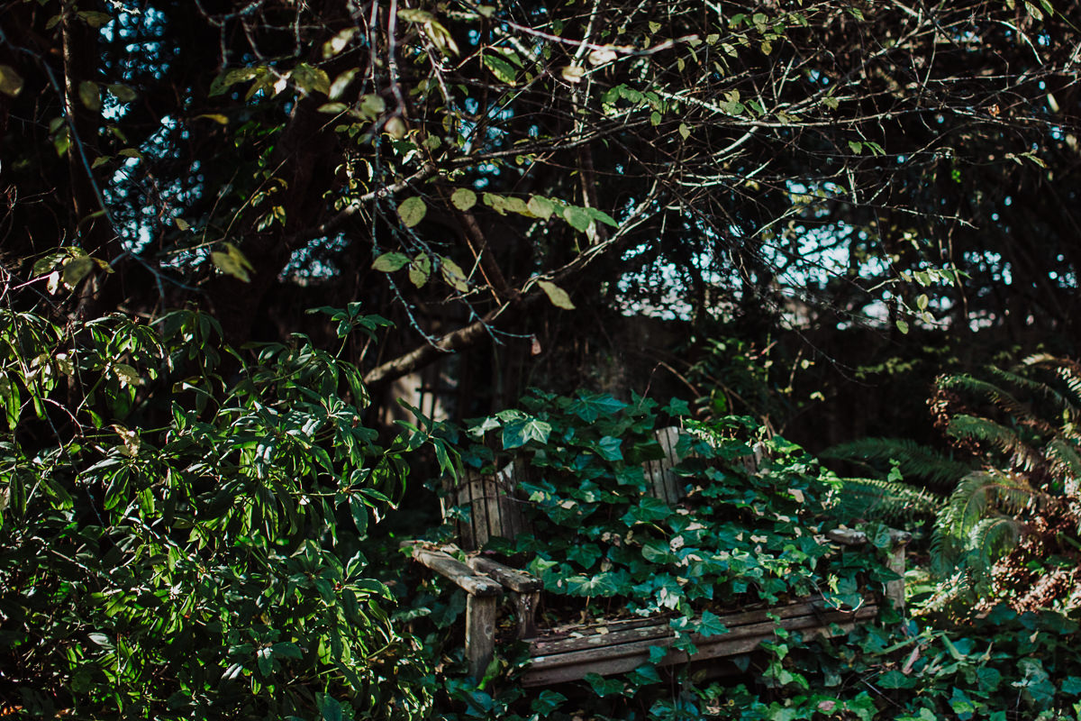 BG redwoods wedding photographer-15a