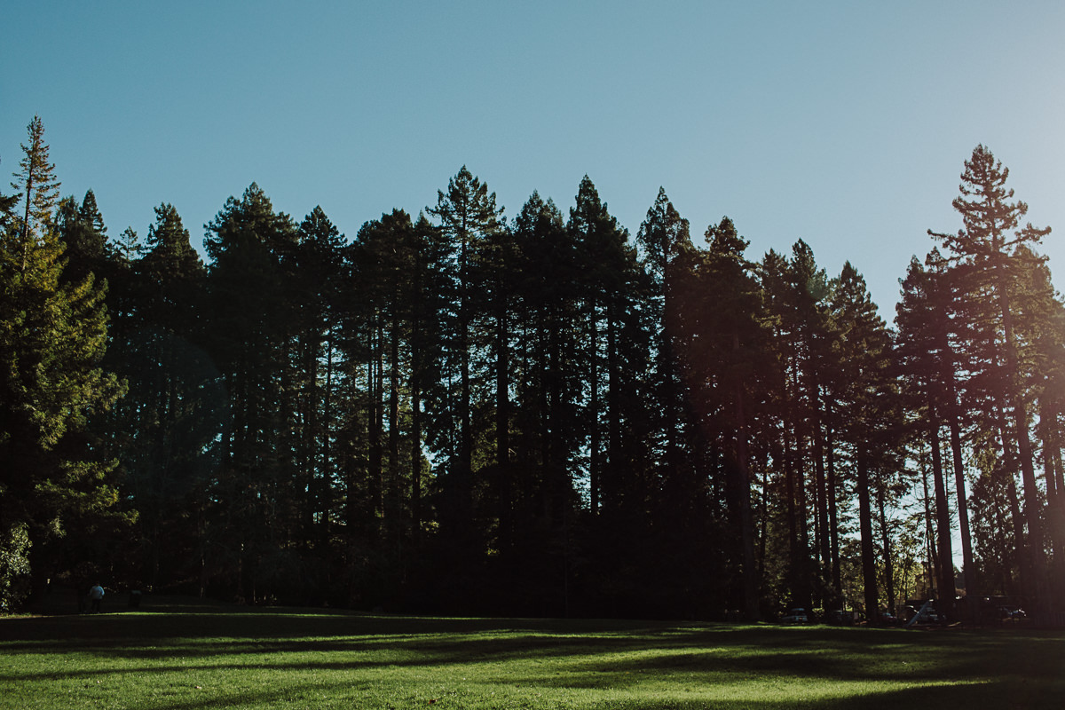 BG redwoods wedding photographer-17