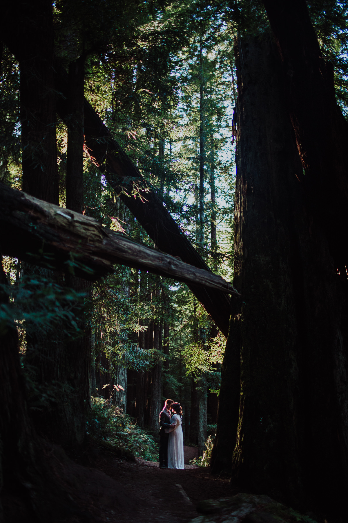 BG redwoods wedding photographer-27