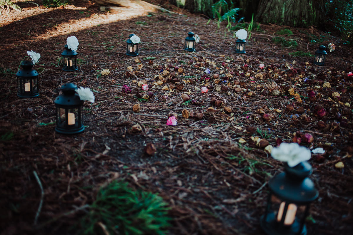 BG redwoods wedding photographer-33