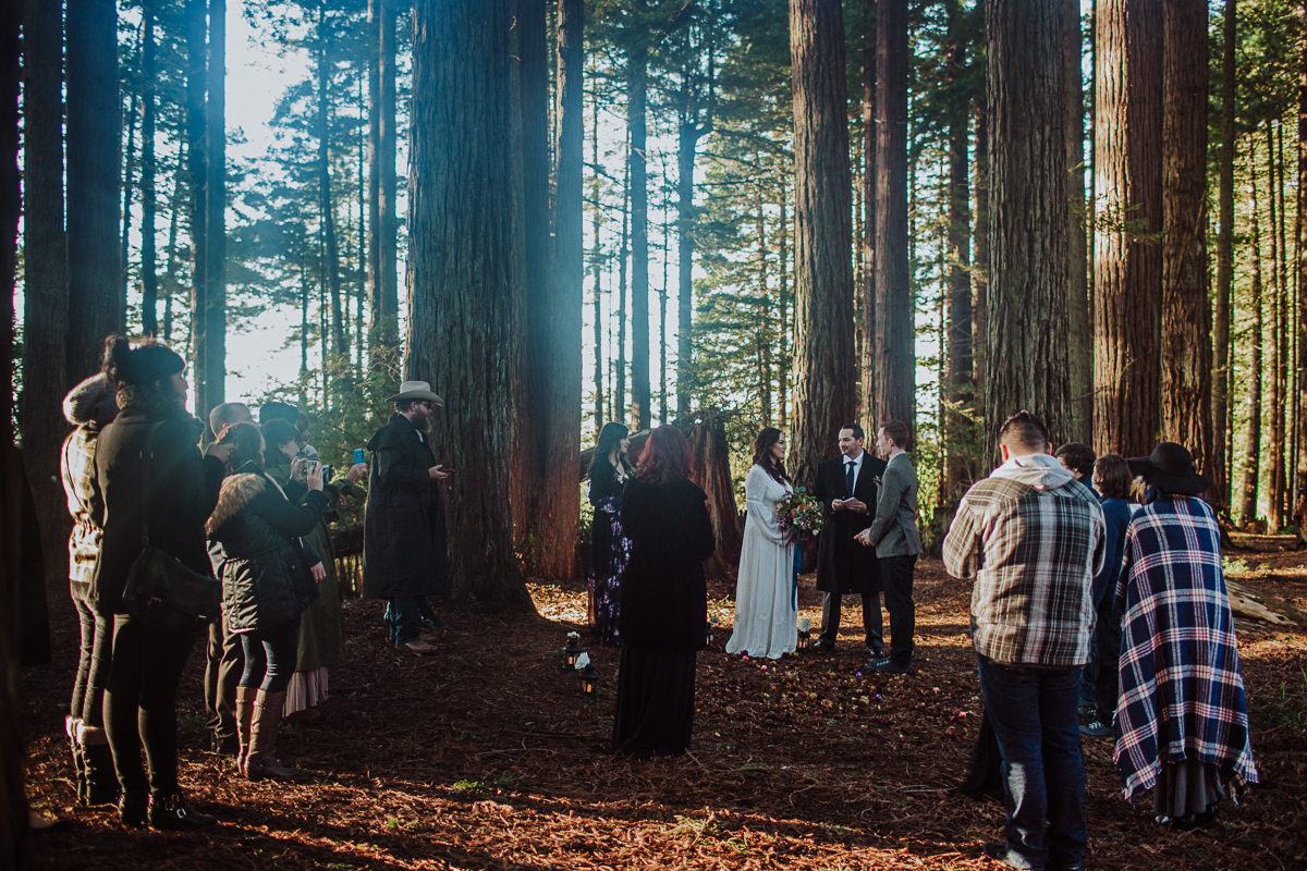 BG redwoods wedding photographer-38