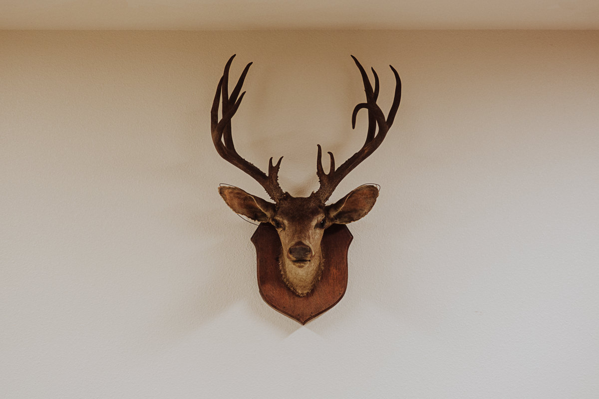 BG redwoods wedding photographer-81