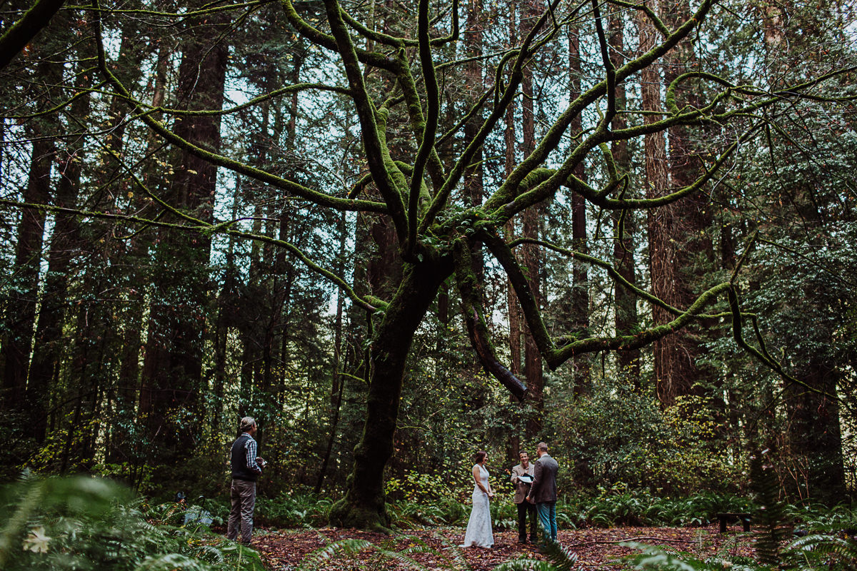 humboldt-county-wedding-photographer-124