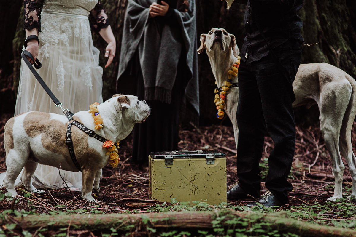 humboldt-county-wedding-photographer-147