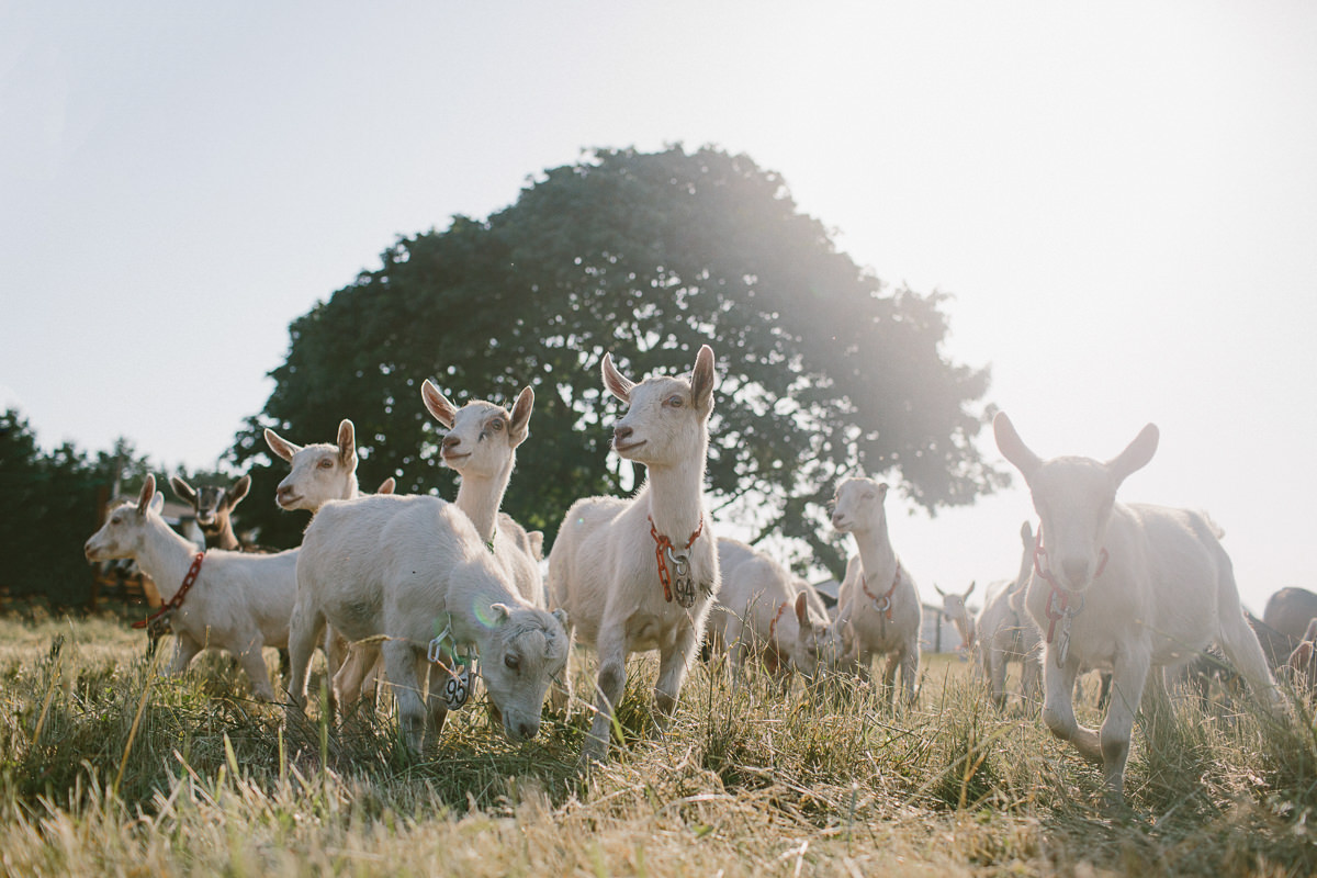humboldt-county-wedding-photographer-163