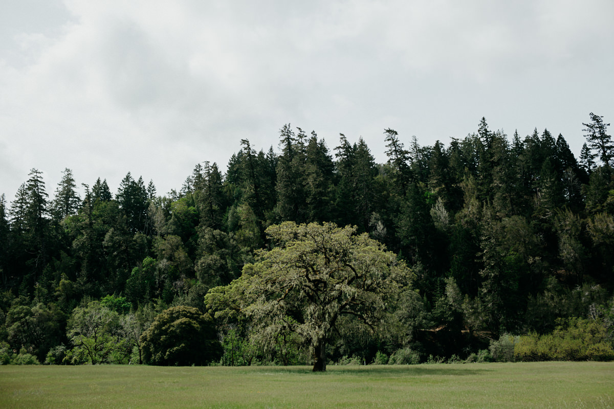 SC Mendocino Wedding Photographer-2