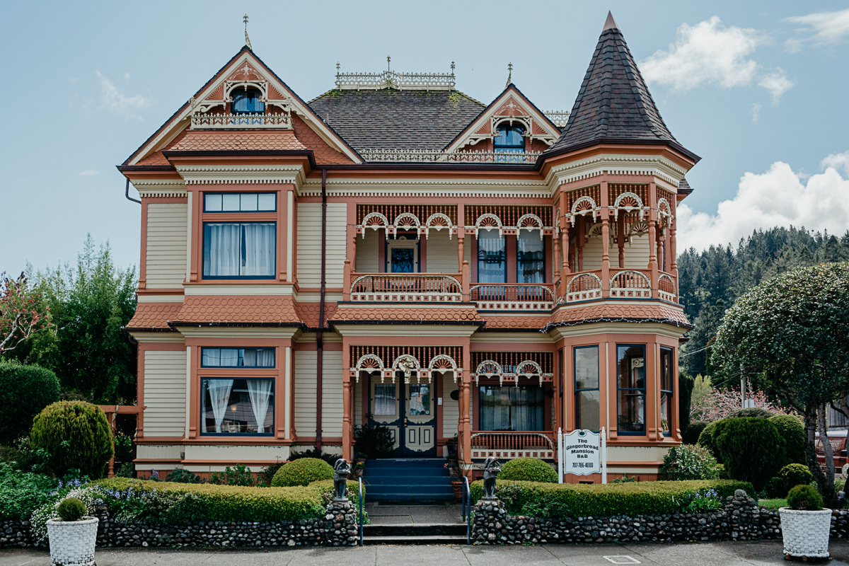 TW ferndale wedding photographer-6