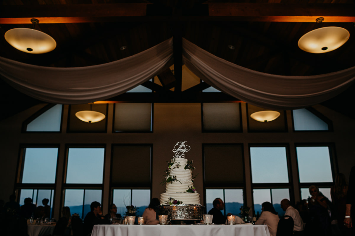 TW ferndale wedding photographer-90