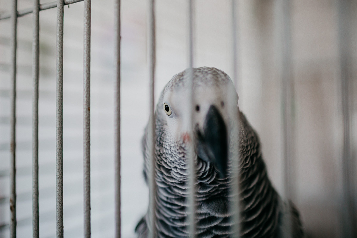 ER Eureka Wedding Photographer-4